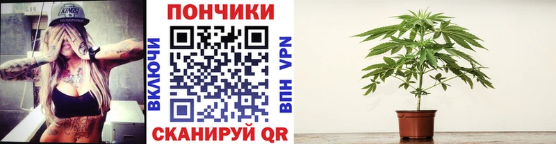 kraken маркетплейс Облучье МАРИХУАНА гибрид купить наркотики цена